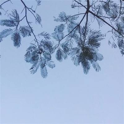 果盘死神来了手游下载